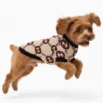 Ropa para mascota camisa para perro GUCCI - BEIGE XXL - Image 7