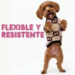 Ropa para mascota camisa para perro GUCCI - BEIGE XXL - Image 5