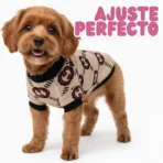 Ropa para mascota camisa para perro GUCCI - BEIGE XXL - Image 4