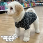 Ropa para mascota camisa para perro Fendi - GRIS - Image 5