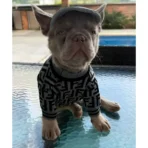 Ropa para mascota camisa para perro Fendi - GRIS - Image 7