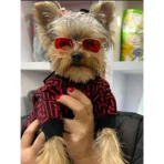 Ropa para mascota camisa para perro Fendi - ROJA - Image 6