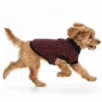 Ropa para mascota camisa para perro Fendi - ROJA - Image 7