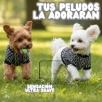 Ropa para mascota camisa para perro Fendi - BLANCA Y NEGRA - Image 4