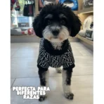 Ropa para mascota camisa para perro Fendi - BLANCA Y NEGRA - Image 6